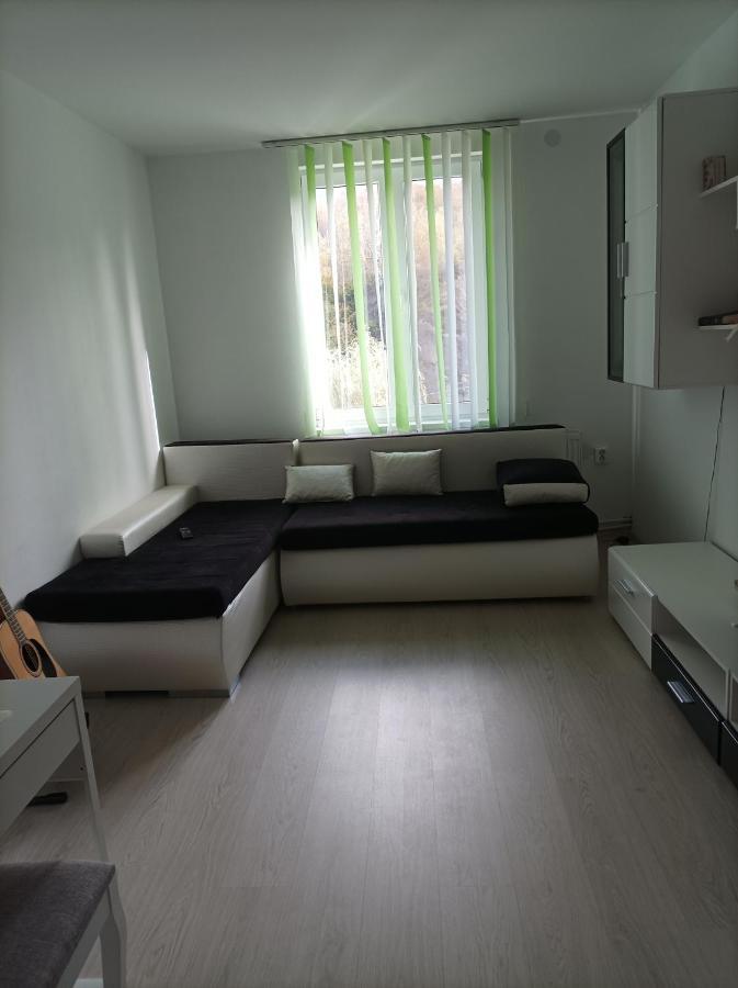 Apartament Doua Camere Uricani  Esterno foto